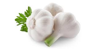 I am looking for Fresh Garlic