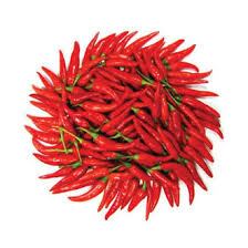  Red clli pepper