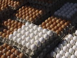 Buy Fresh Brown Table and Broiler Eggs