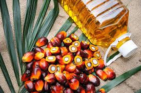 i am looking for Refined Palm Oil