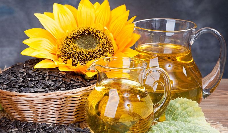 Buy sunflower oil 